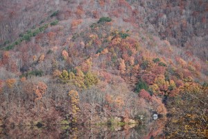 IMG_6415