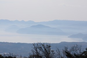 IMG_6419