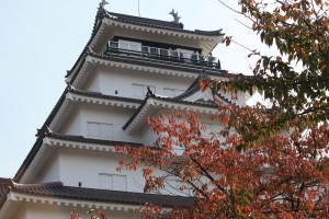 IMG_6424