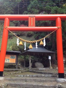 写真 2 (33)