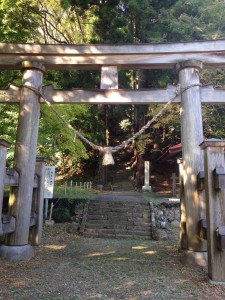 写真 1 (31)
