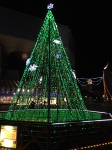 IMG_1495