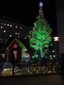 IMG_1496