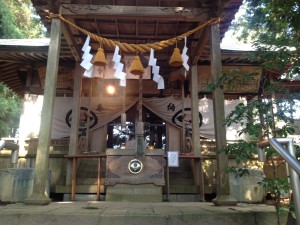 写真 1 (30)