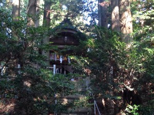 写真 2 (34)