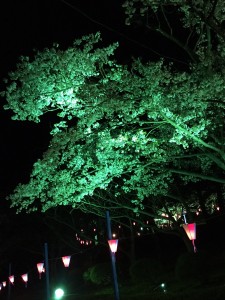 IMG_1970