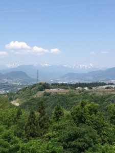 IMG_2186