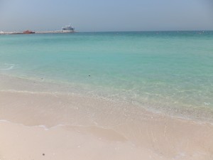 DSCF5604