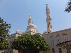 DSCF5607