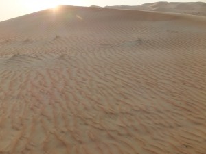 DSCF5650