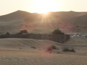 DSCF5656