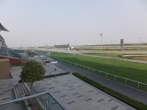 DSCF5709