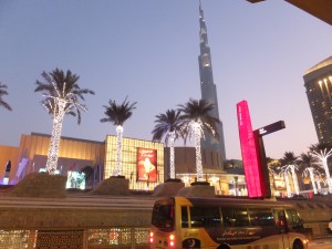 DSCF5722