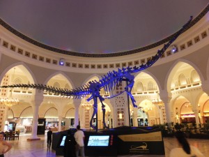 DSCF5786
