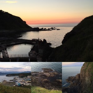 IMG_3570