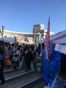img_5304